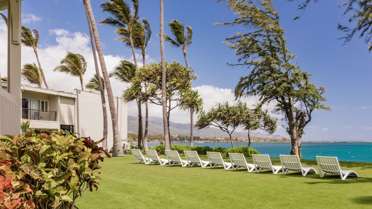 Photo of Outdoor in Kahului