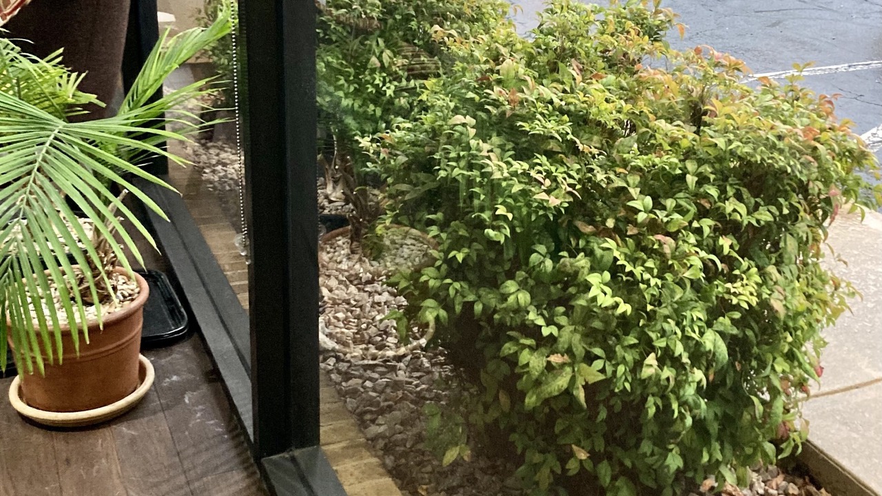 Photo of Outdoor in Lynchburg