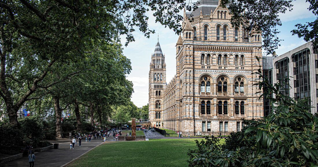 Photo of Others in South Kensington