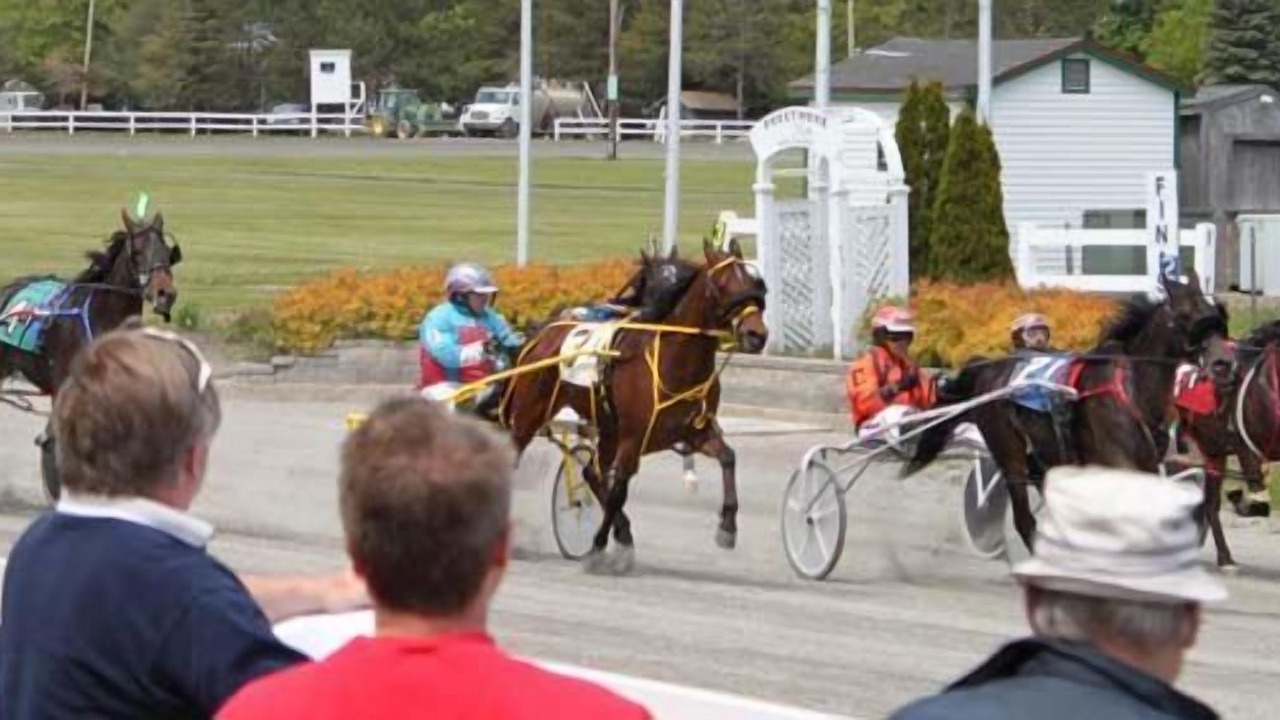 Photo of Others in Bangor