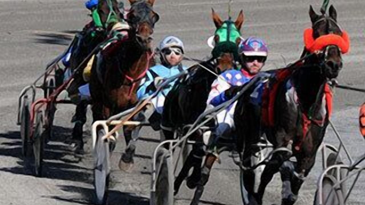 Photo of Others in Bangor