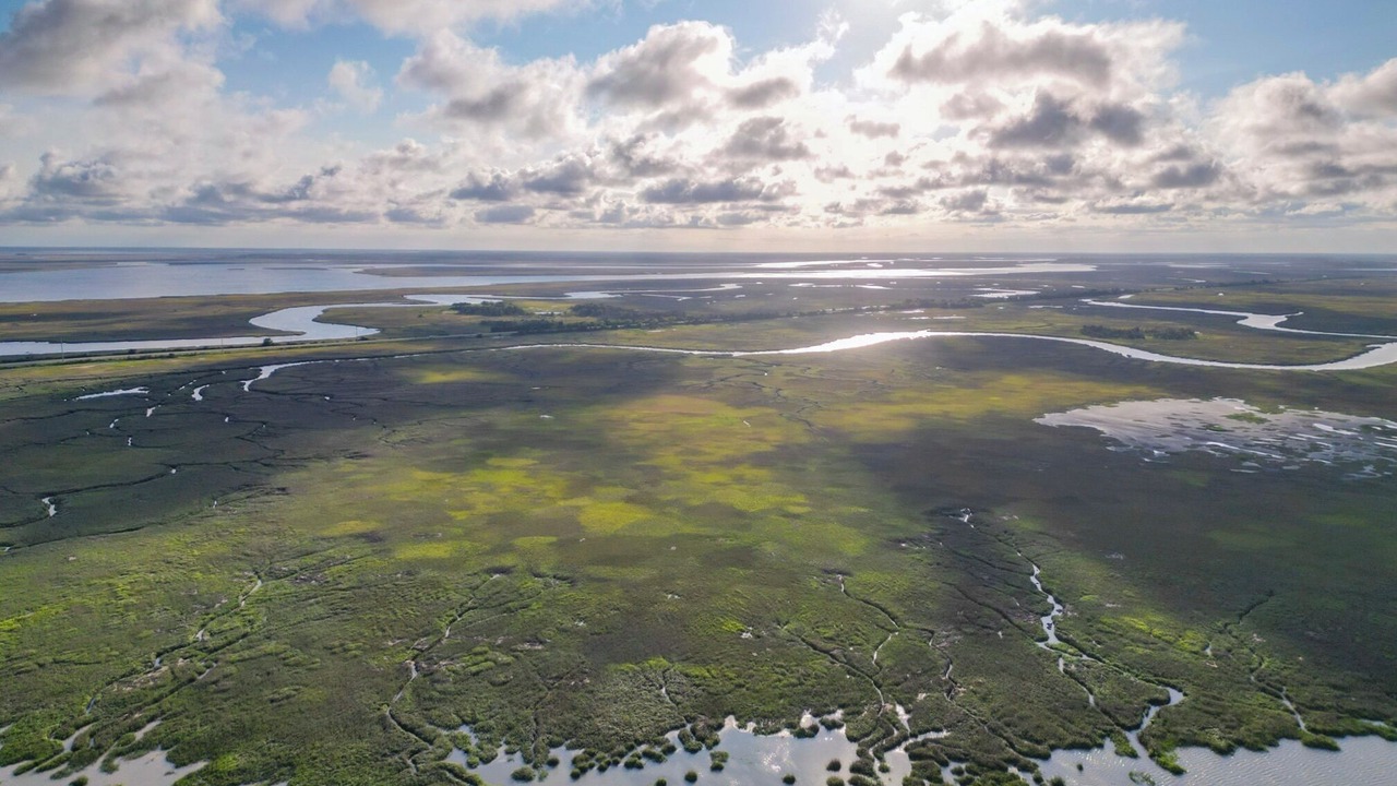 Photo of Others in Jekyll Island
