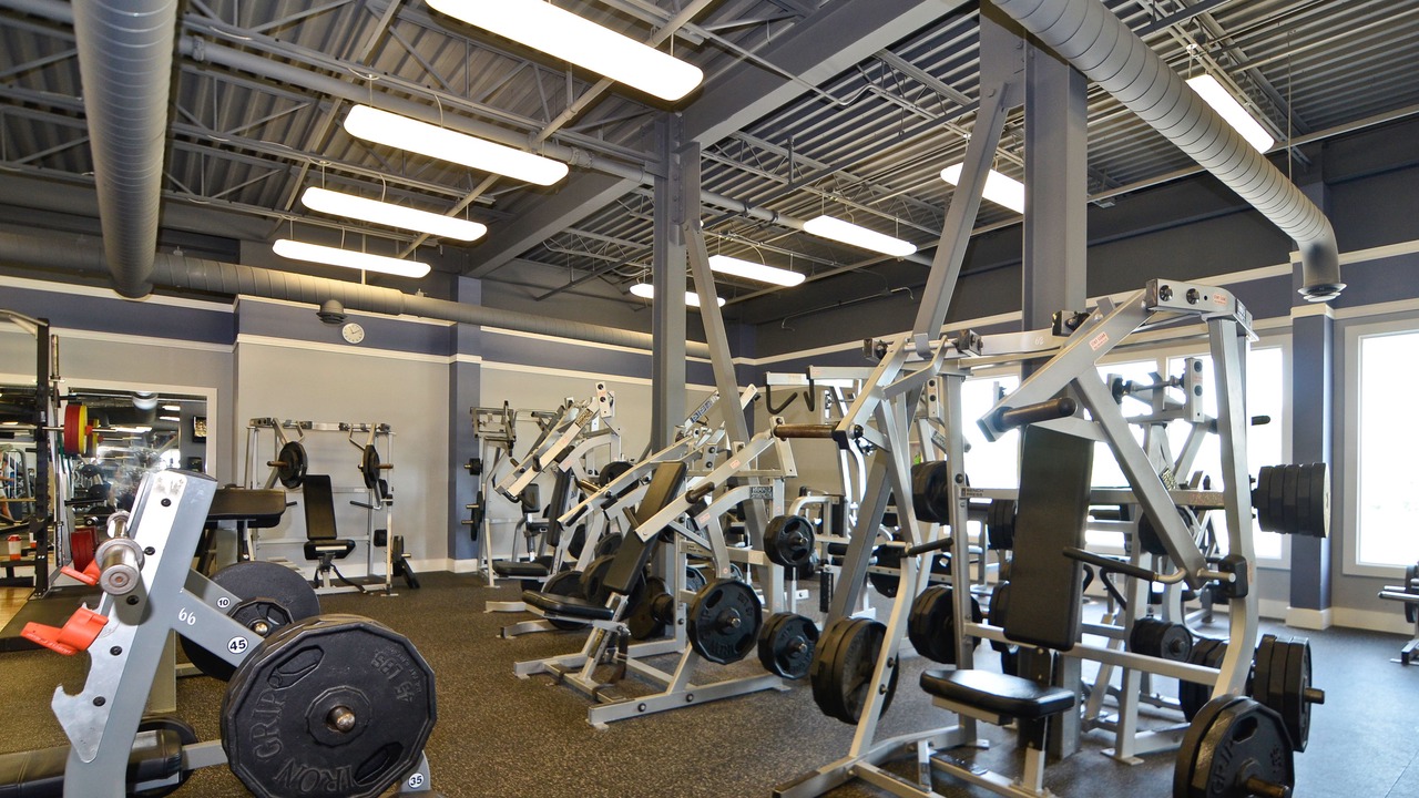 Photo of Others in Plattsburgh