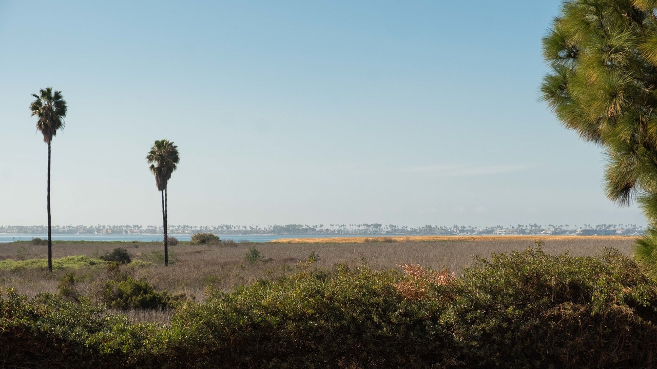 Photo of Others in Lincoln Acres