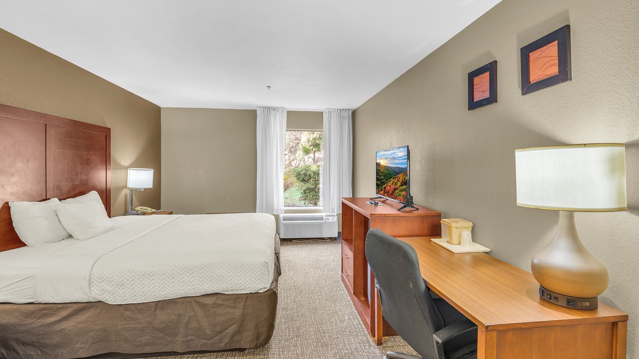 Photo of Bedroom in Bristol