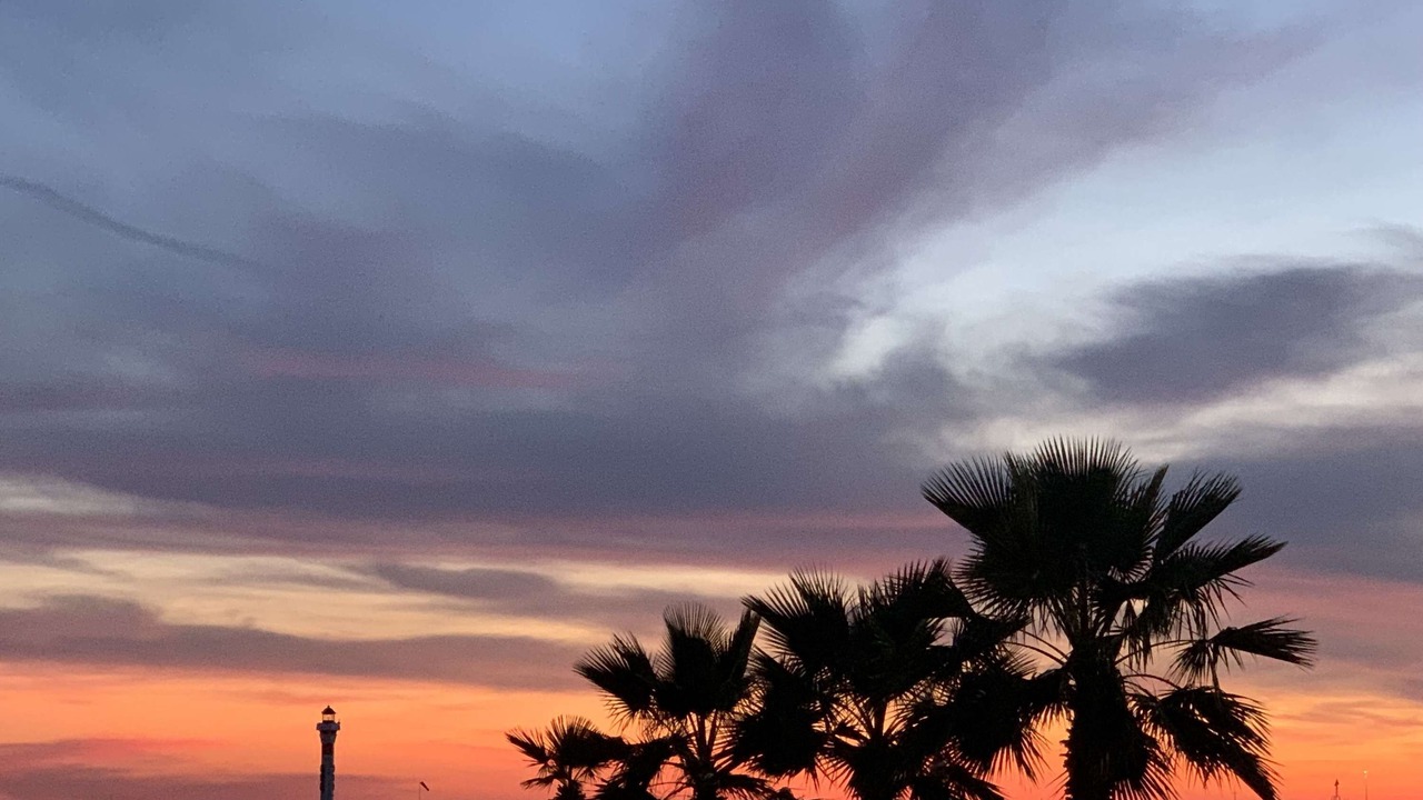 Photo of Others in Cannes La Bocca