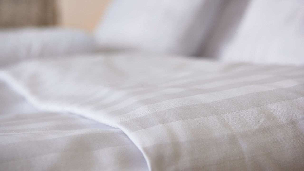 Photo of Others in Holstebro