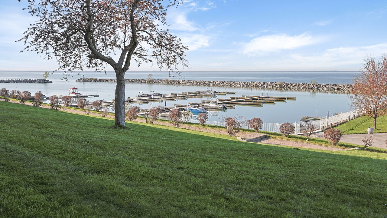 Photo of Outdoor in Jordan Harbour