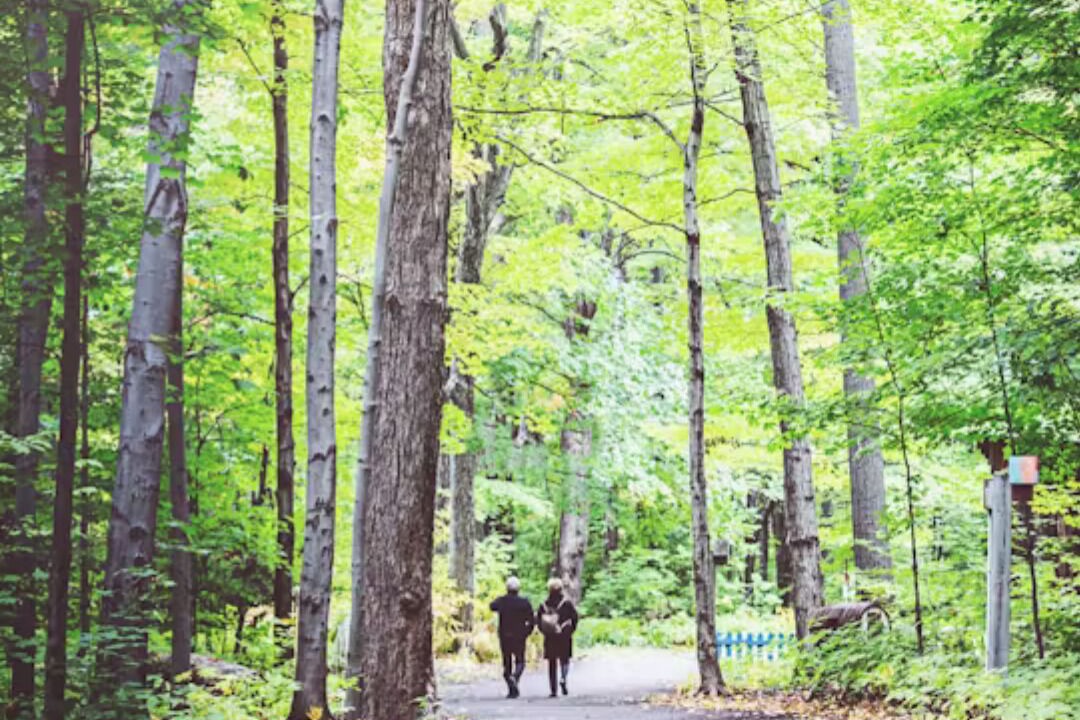 Photo of Outdoor in Trois-Rivieres