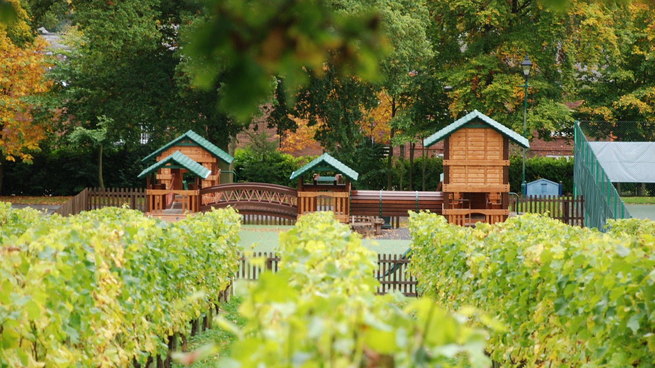 Photo of Outdoor in Broxton