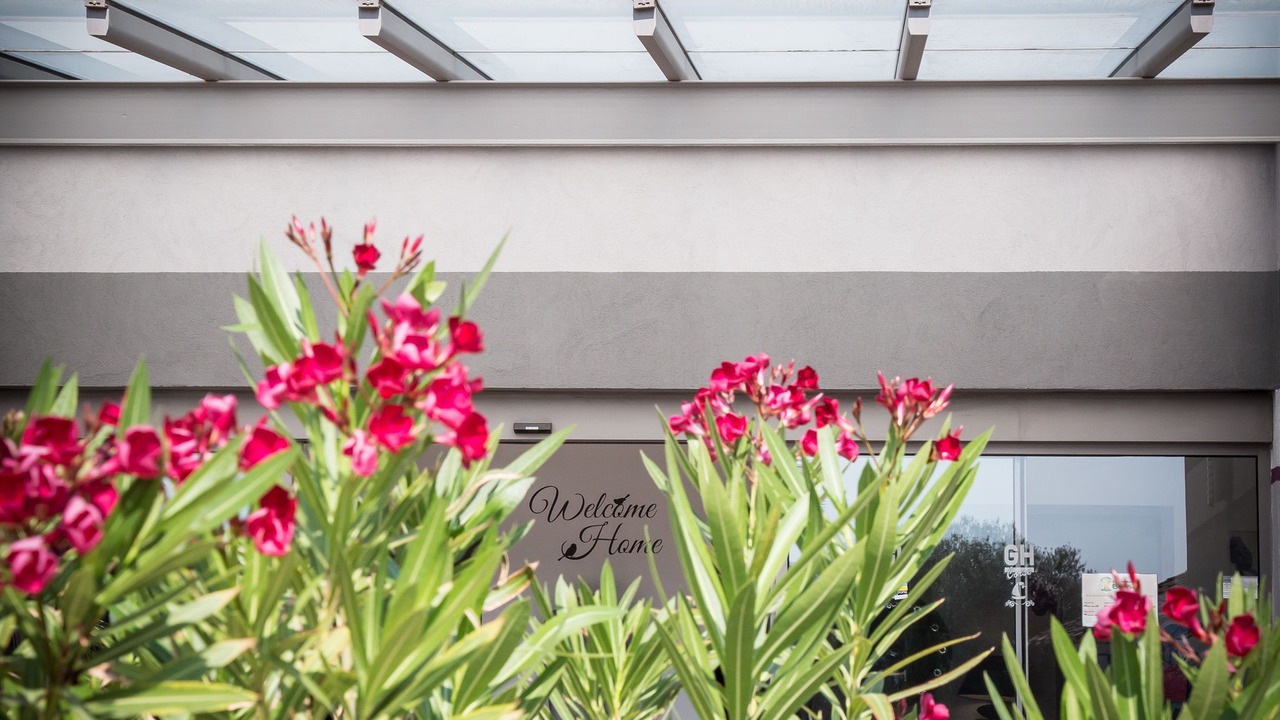 Photo of Outdoor in Porto-Vecchio