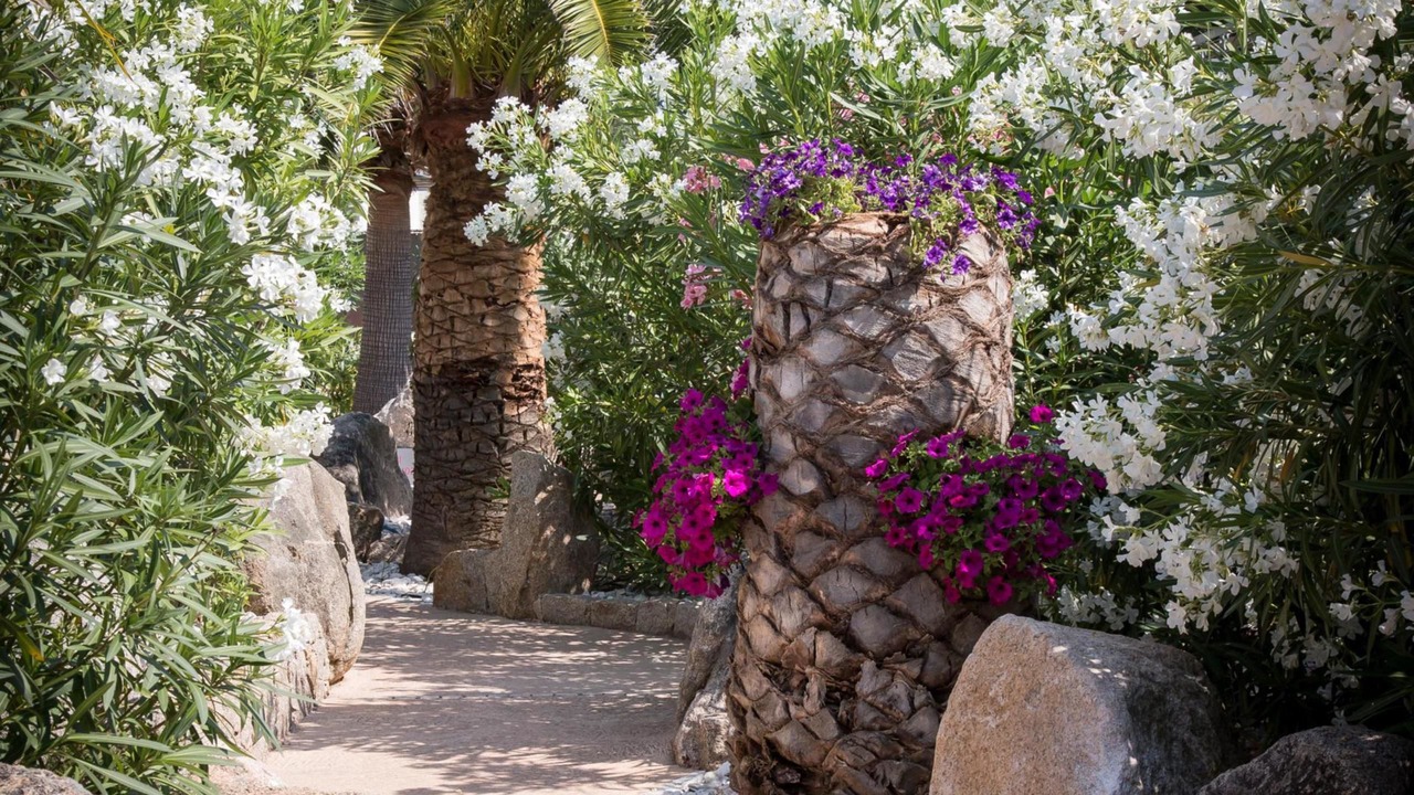 Photo of Outdoor in Porto-Vecchio