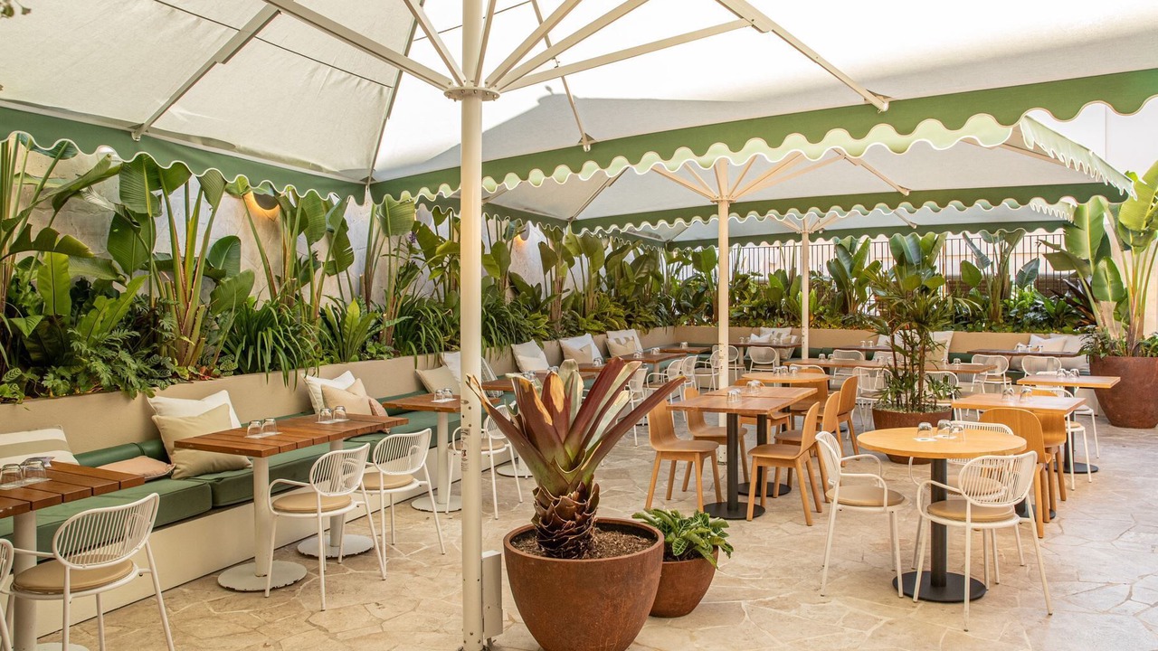 Photo of Outdoor in Paddington