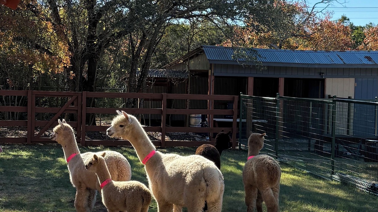 Photo of Outdoor in Wimberley