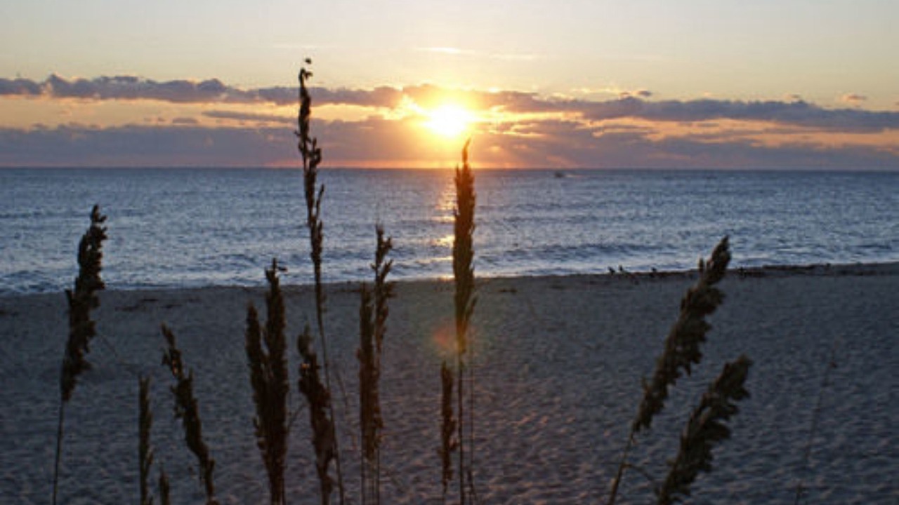 Photo of Others in Parrot Cove