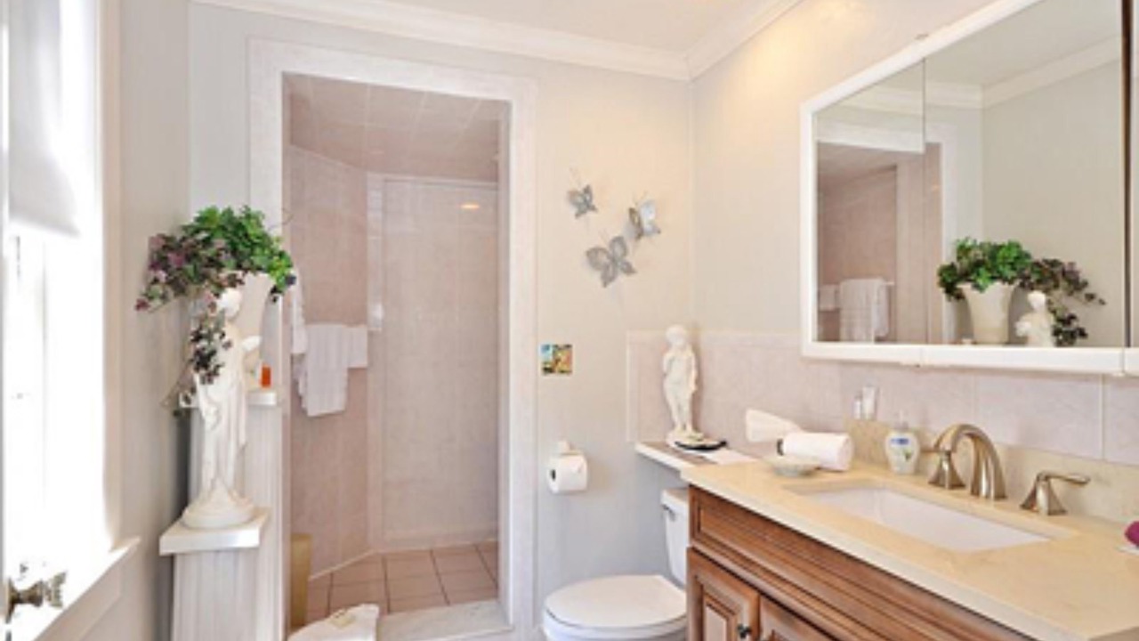 Photo of Others in Parrot Cove