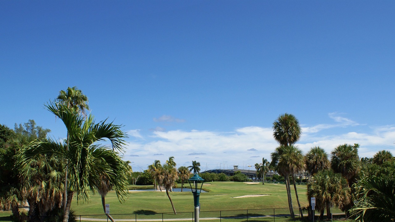 Photo of Patio Balcony in Parrot Cove