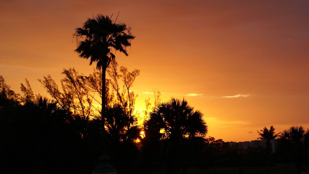 Photo of Others in Parrot Cove