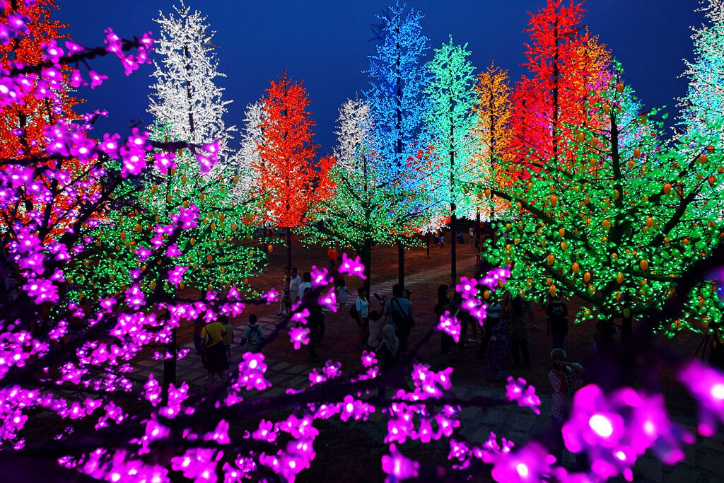 Photo of Others in Shah Alam