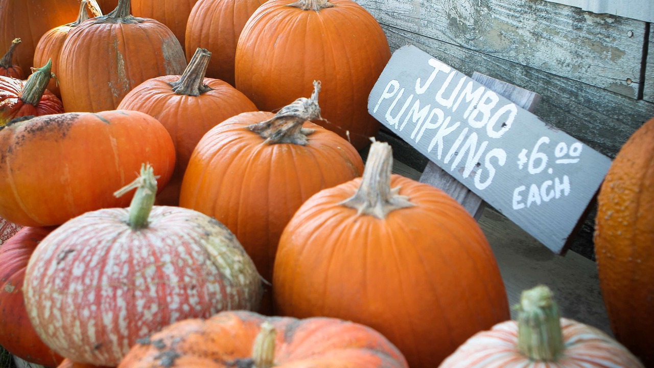 Photo of Outdoor in Sidney