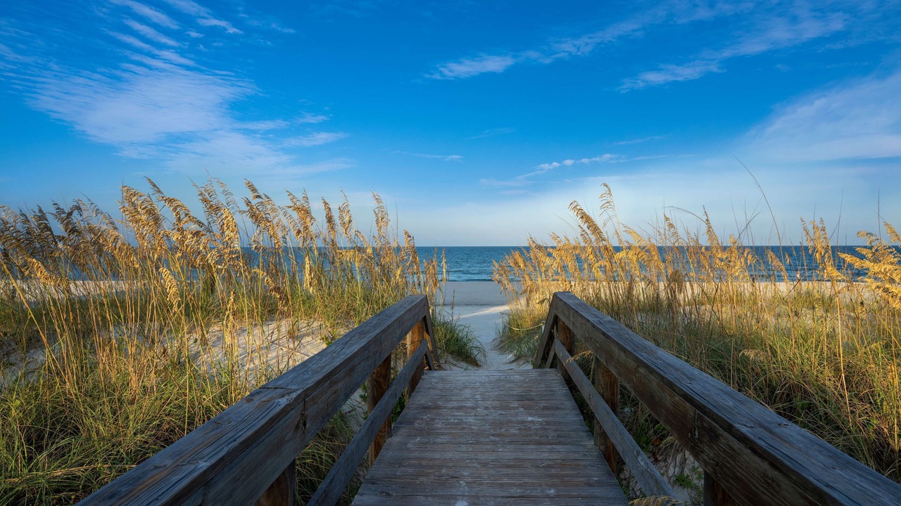 Photo of Outdoor in Jacksonville Beach