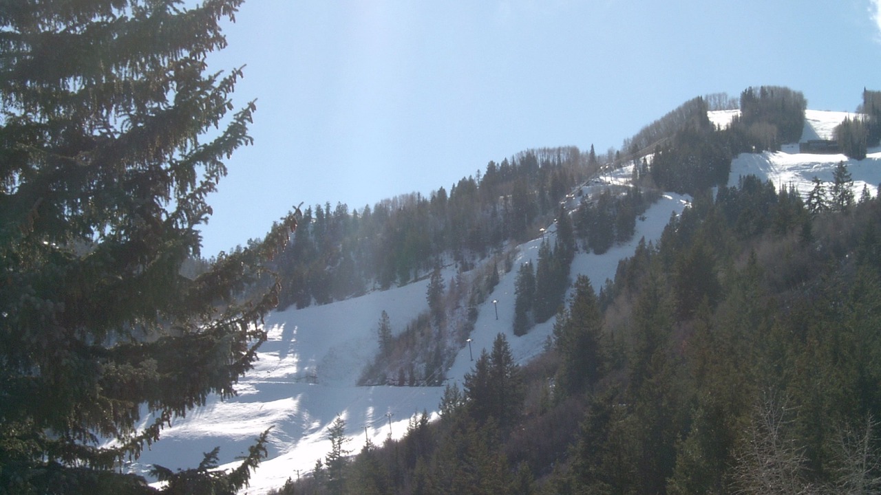 Photo of Others in West End