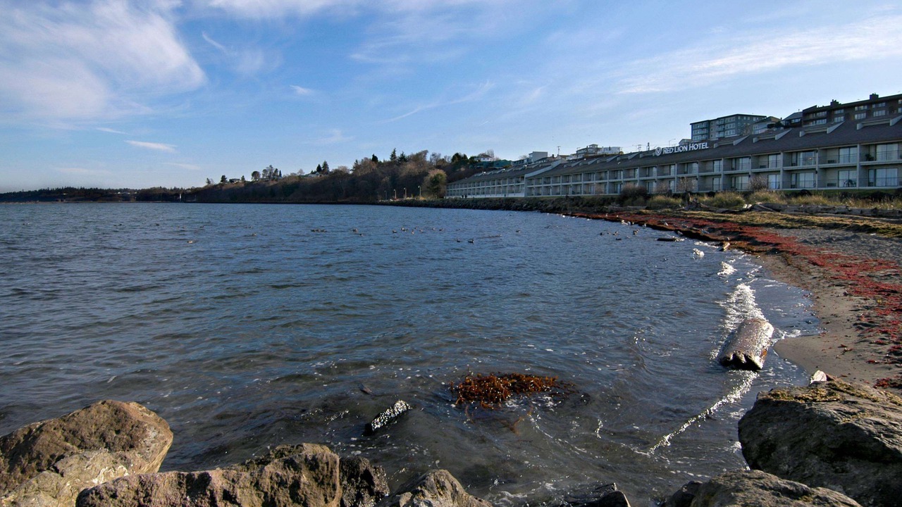 Photo of Outdoor in Port Angeles
