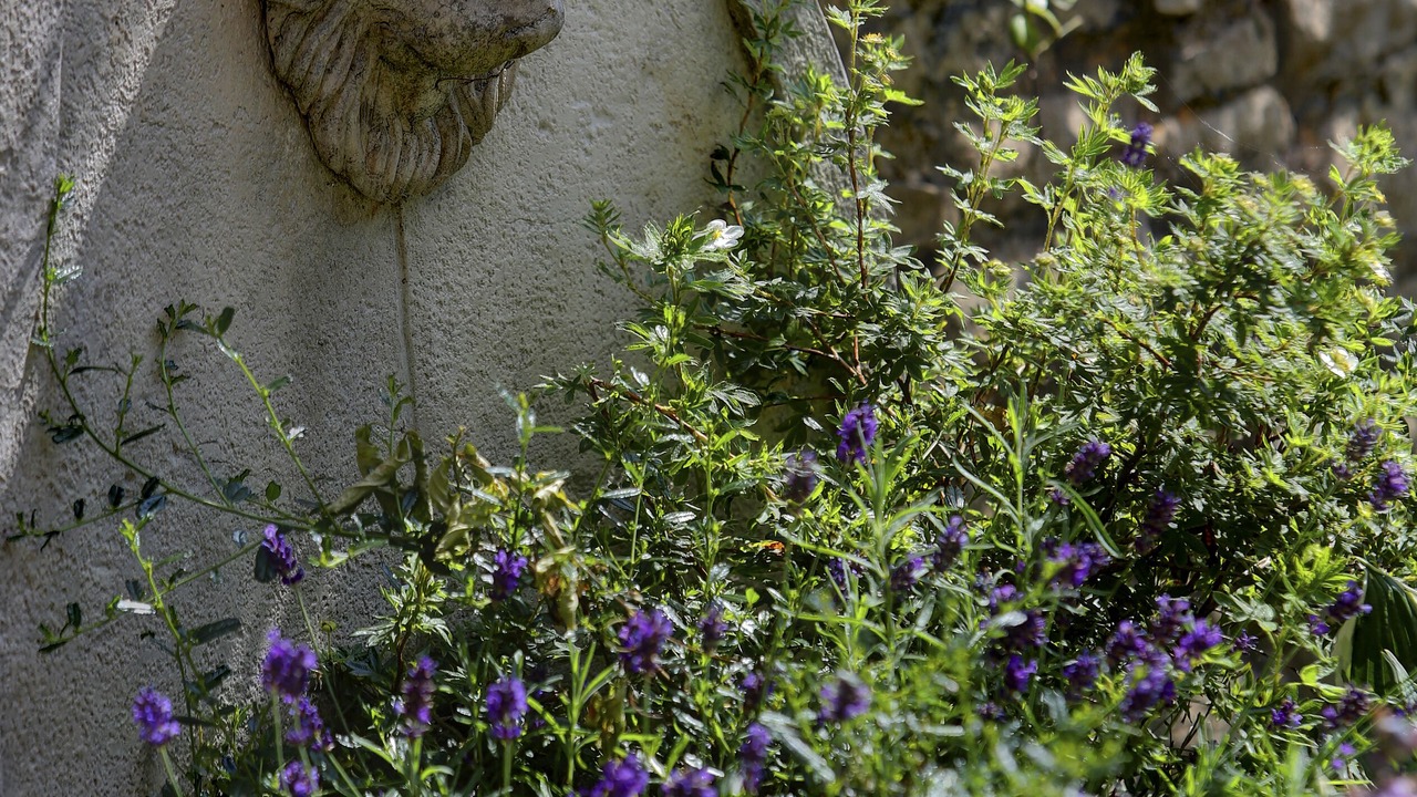 Photo of Outdoor in Pickering