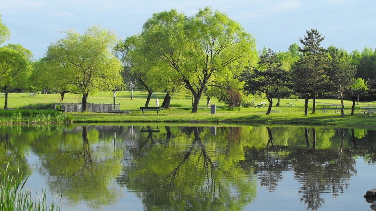 Photo of Others in Longueuil