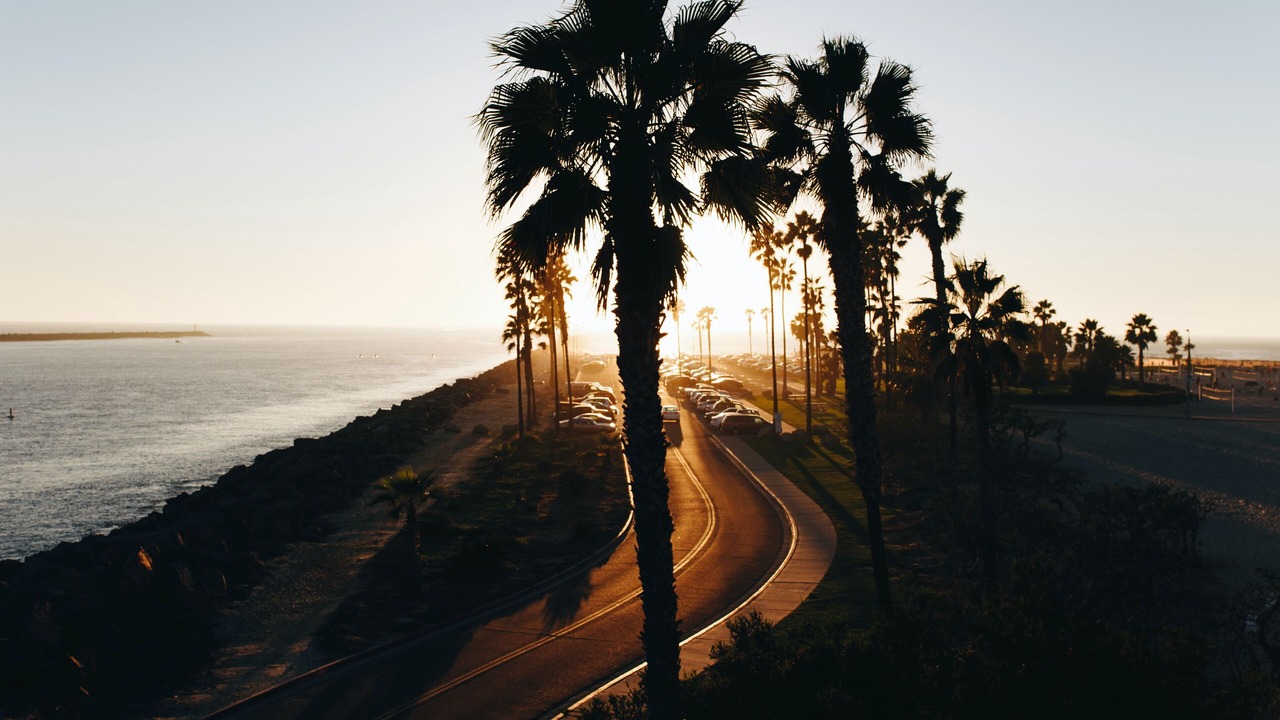 Photo of Others in La Jolla Shores