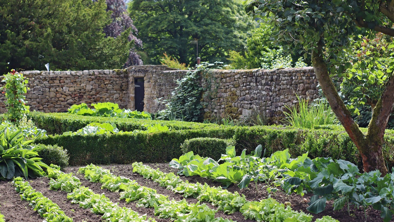 Photo of Outdoor in Skipton