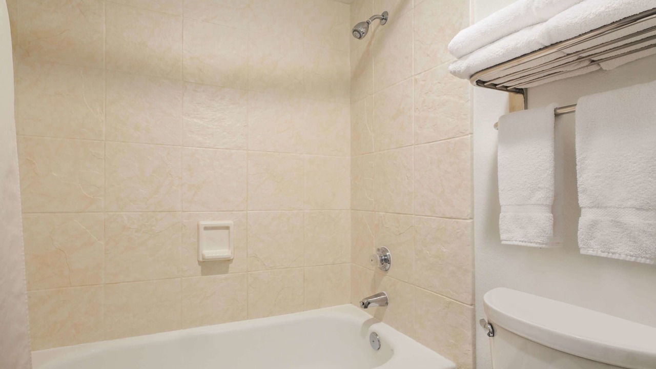 Photo of Others in Paine Field-Lake Stickney