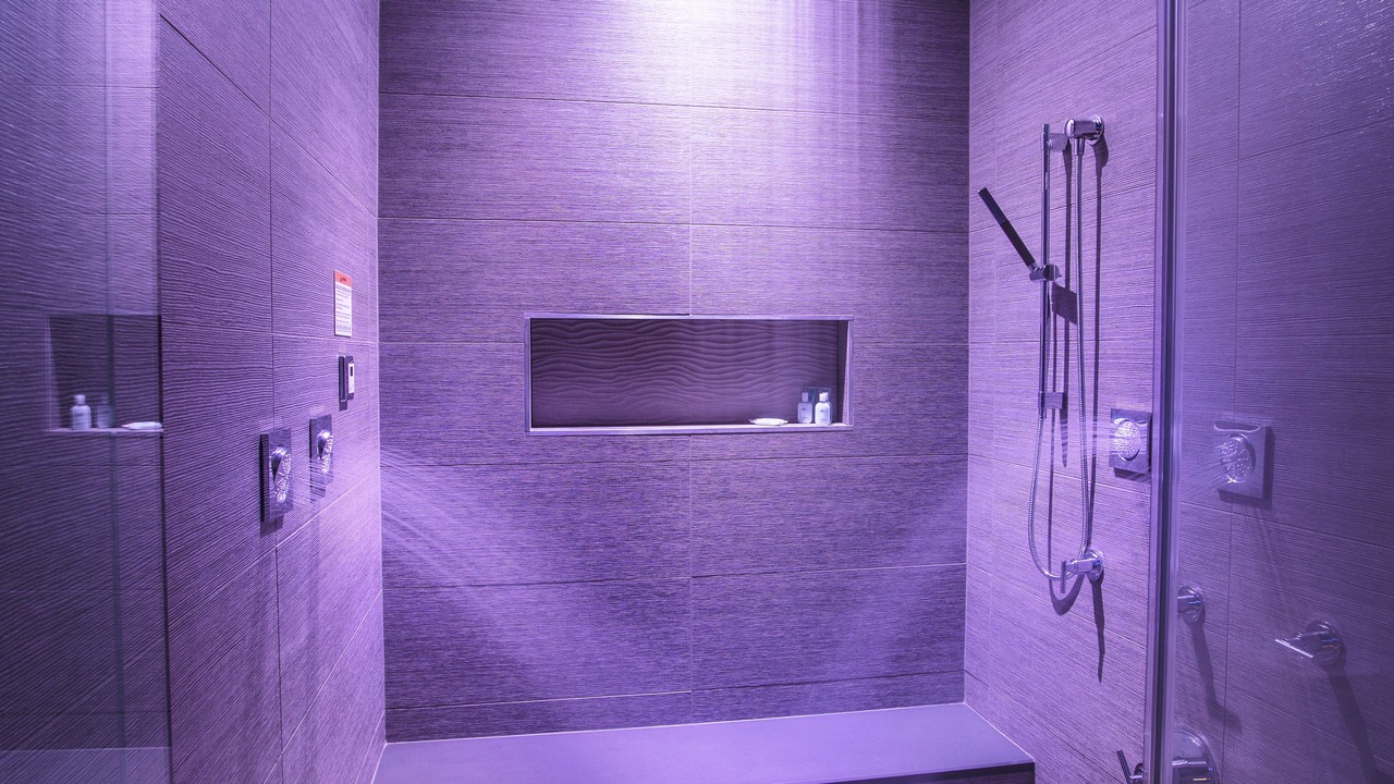 Photo of Bathroom in Downtown Niagara Falls