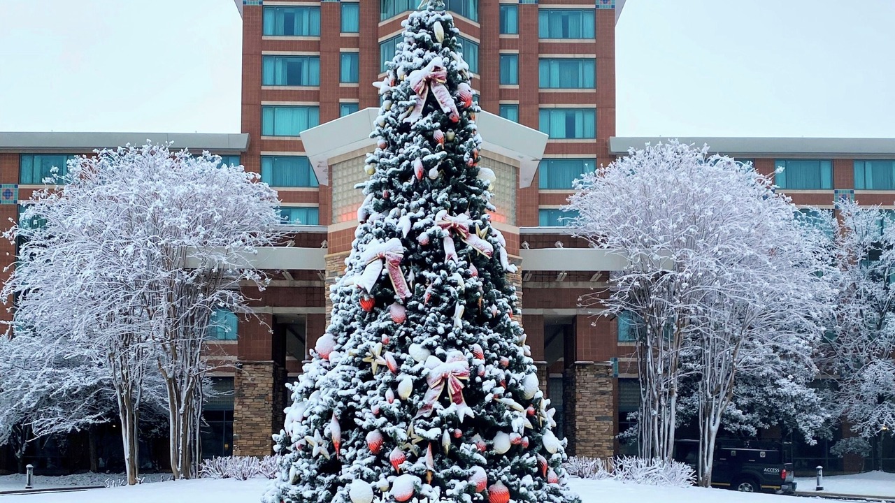 Photo of Outdoor in Lansdowne