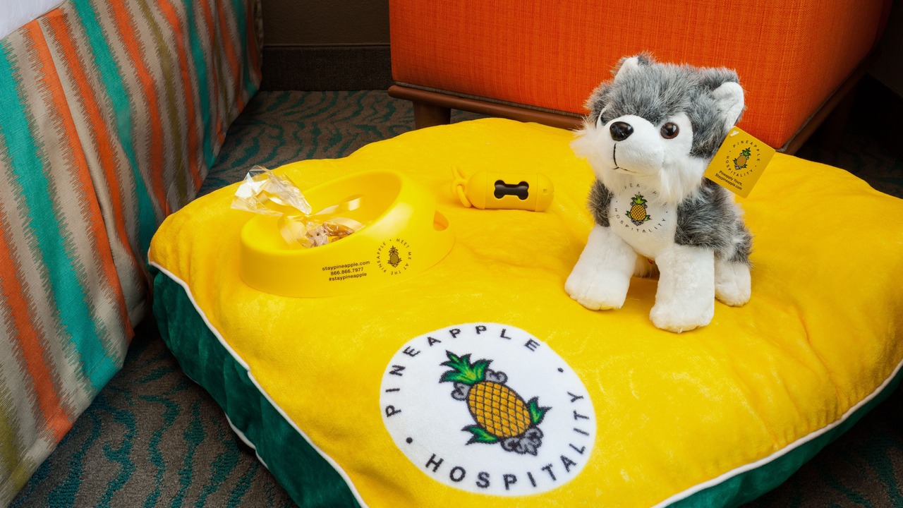 Photo of Others in University District