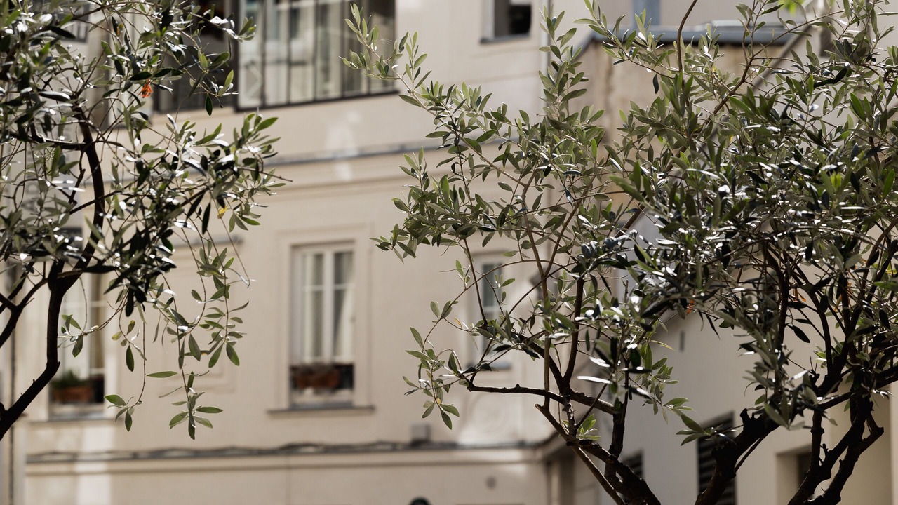Photo of Outdoor in Ternes