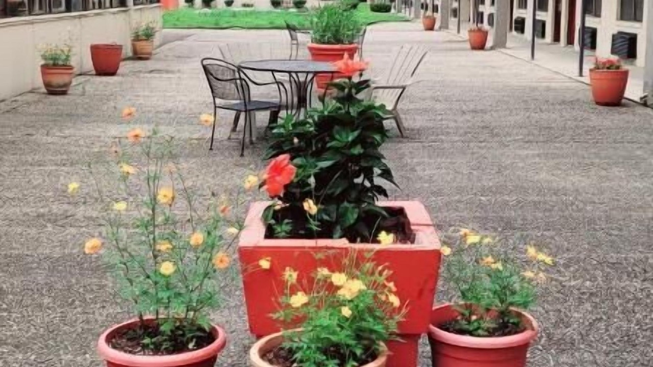 Photo of Outdoor in Orange