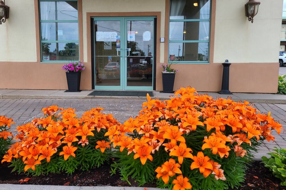 Photo of Outdoor in Gananoque