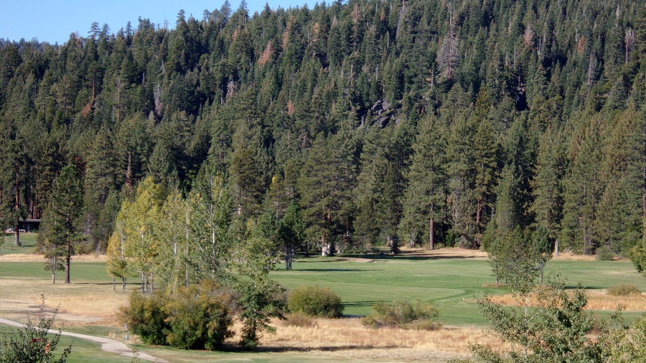 Photo of Others in Tahoe City