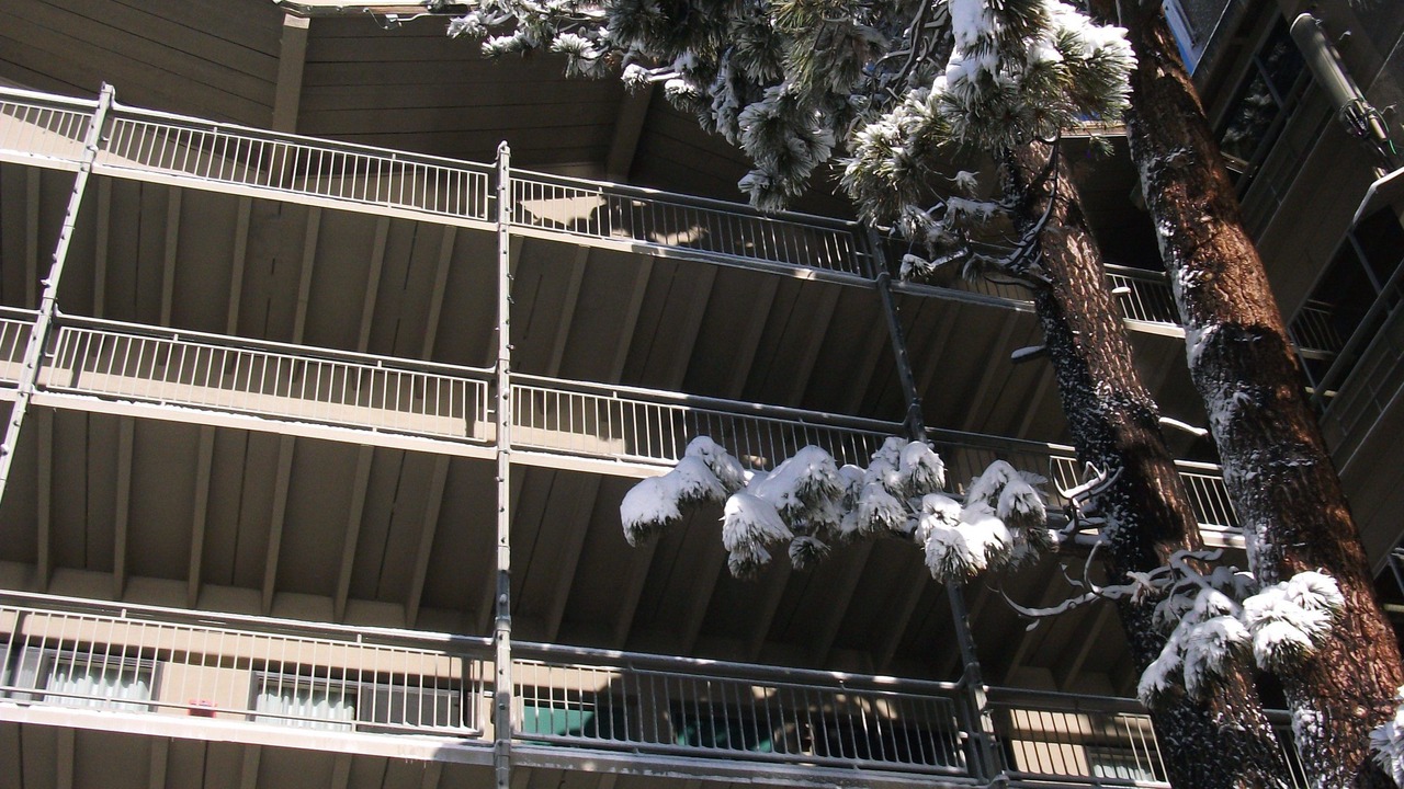Photo of Outdoor in Tahoe City