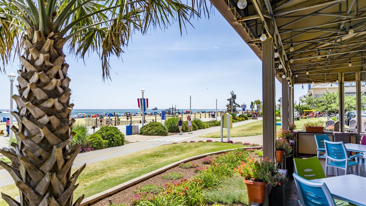 Photo of Others in Northeast Virginia Beach