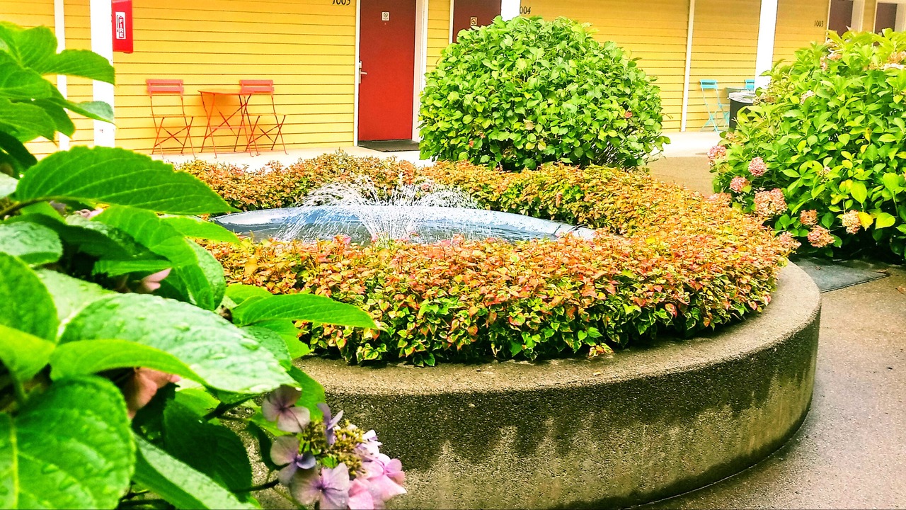 Photo of Outdoor in Enumclaw