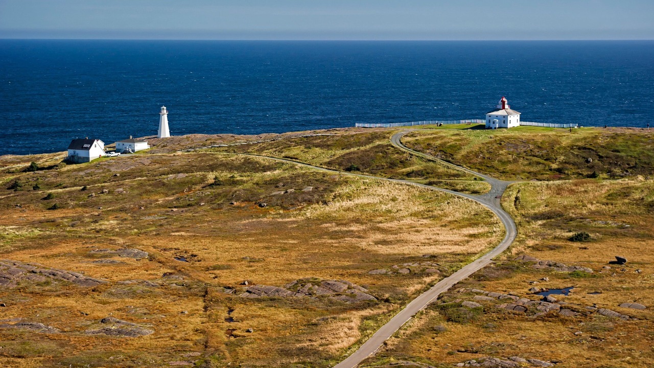 Photo of Others in St. John's