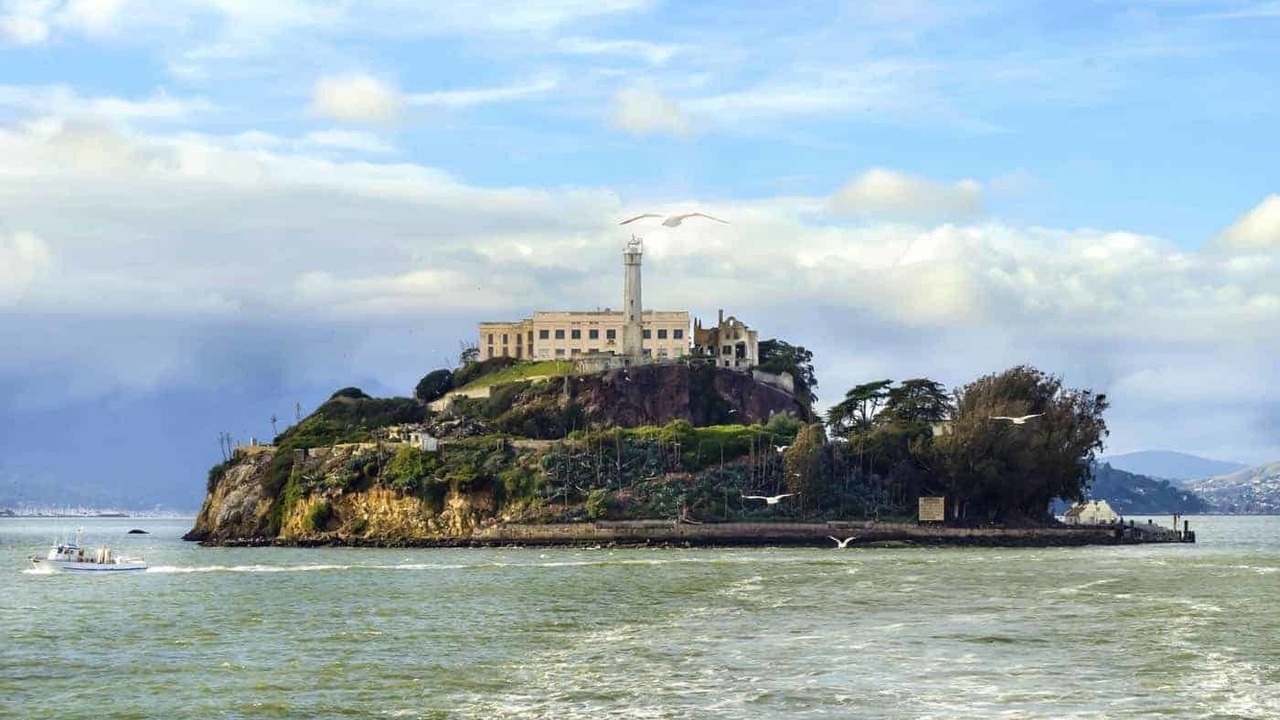 Photo of Others in Cole Valley