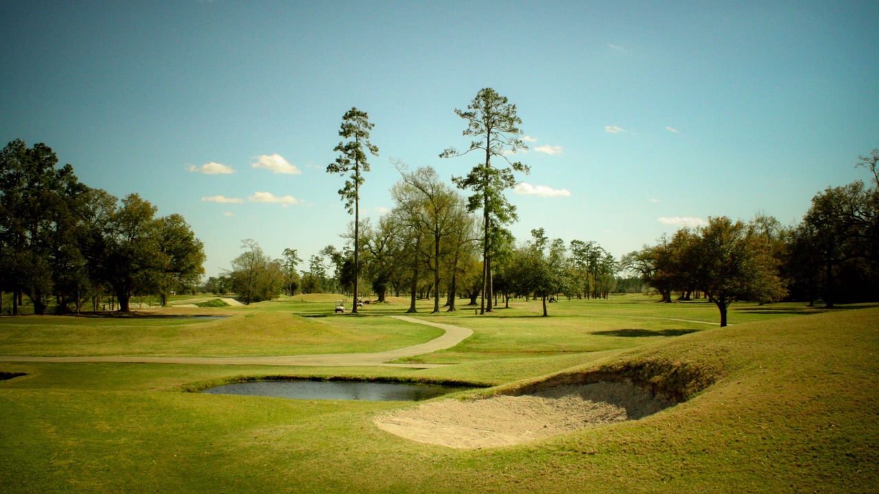 Photo of Others in Sulphur