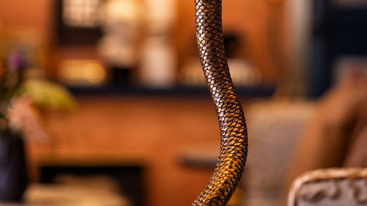 Photo of Others in Rush and Division