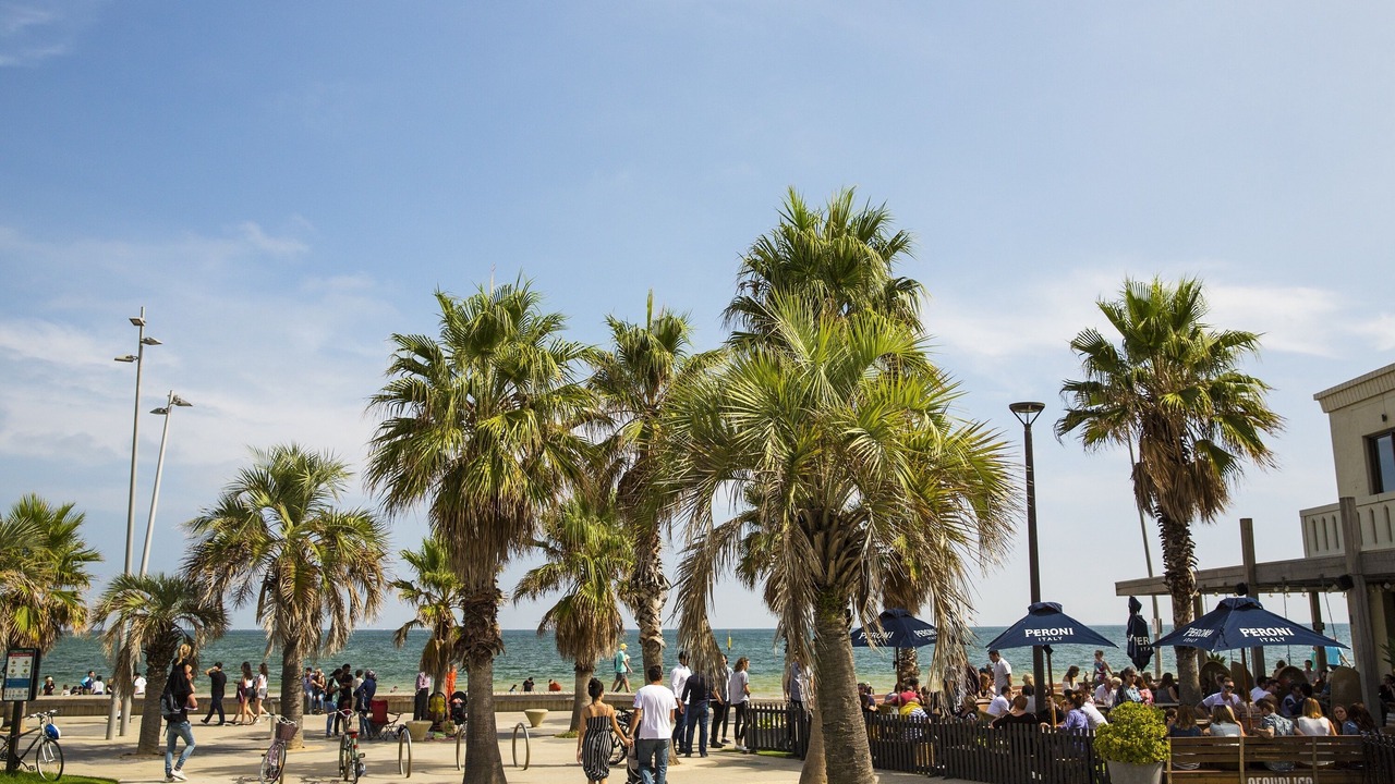 Photo of Others in South Yarra