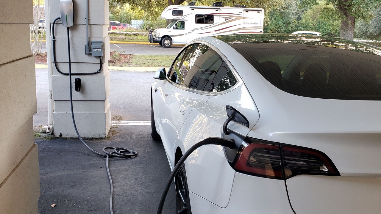 Photo of Others in Yemassee