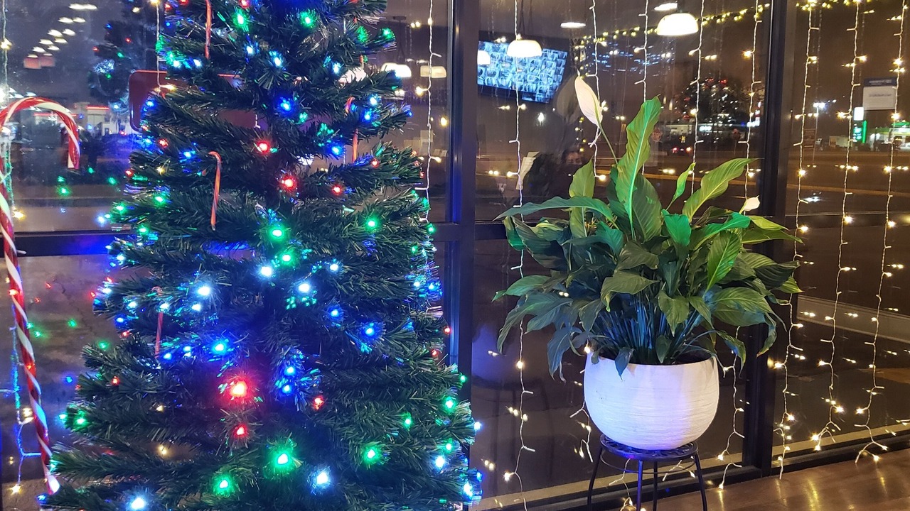 Photo of Others in Yemassee