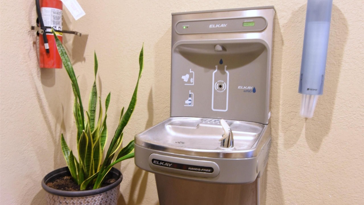 Photo of Others in Yemassee